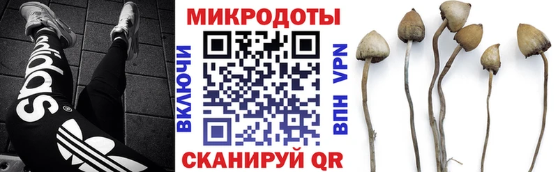 Галлюциногенные грибы GOLDEN TEACHER  как найти наркотики  мега ONION  Зарайск 